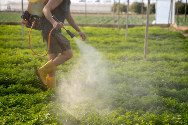Best Affordable Pest Control Services  in Inverness Highlands South, FL