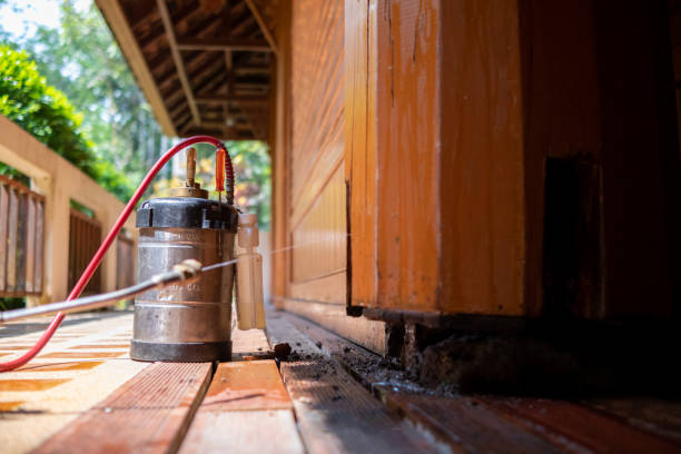 Best Affordable Pest Control Services  in Inverness Highlands South, FL