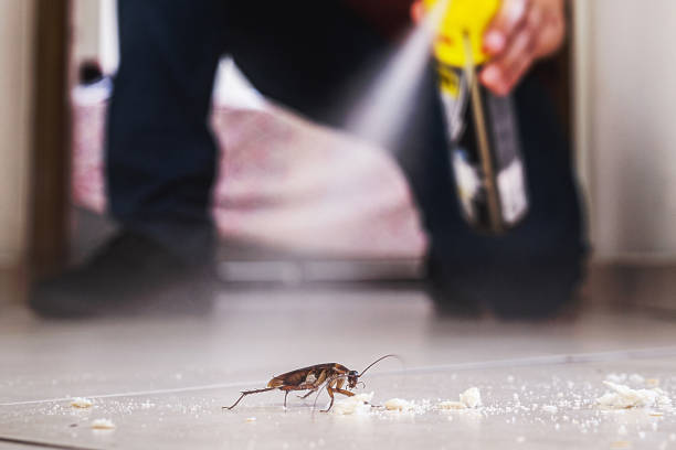 Reliable Inverness Highlands South, FL Pest Control Solutions