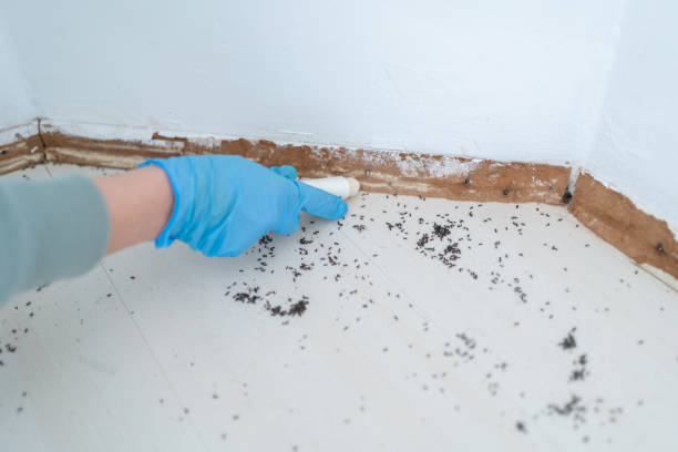 Pest Control for Restaurants in Inverness Highlands South, FL