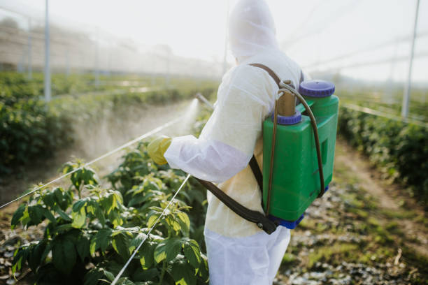 Best Residential Pest Control  in Inverness Highlands South, FL
